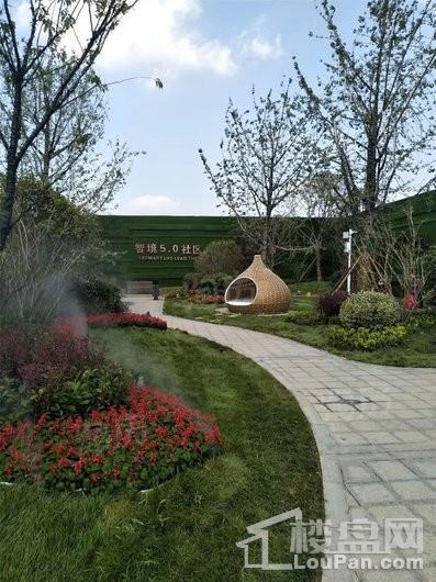 碧桂园云地·天启实景图