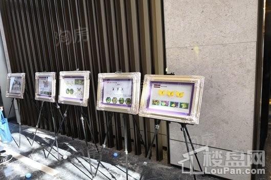 中南瑞马樾府实景图