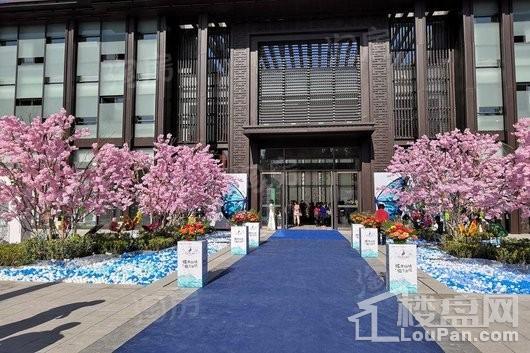 中南瑞马樾府实景图