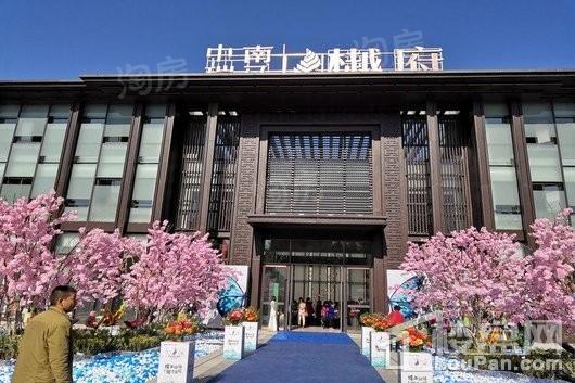 中南瑞马樾府实景图