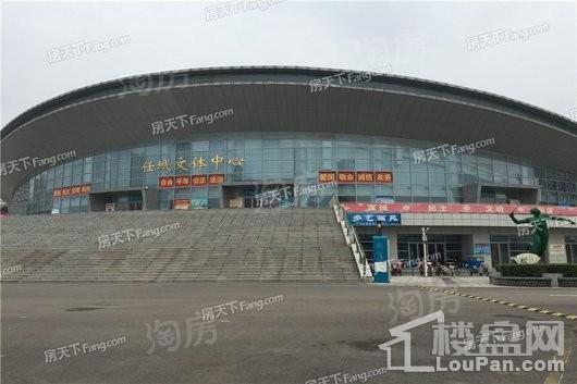 中南瑞马樾府配套图