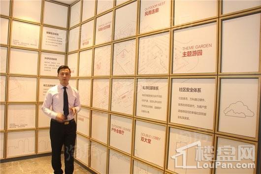 国控万科紫郡实景图