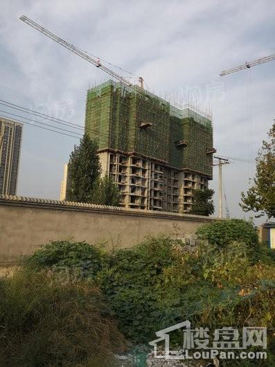 金盛悦府实景图