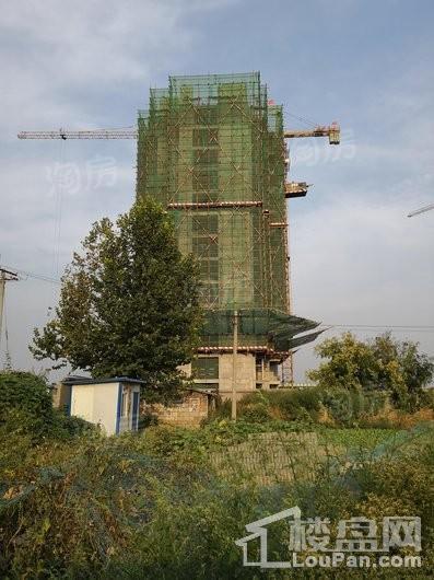 金盛悦府实景图