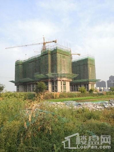 金盛悦府实景图