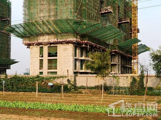 金盛悦府实景图