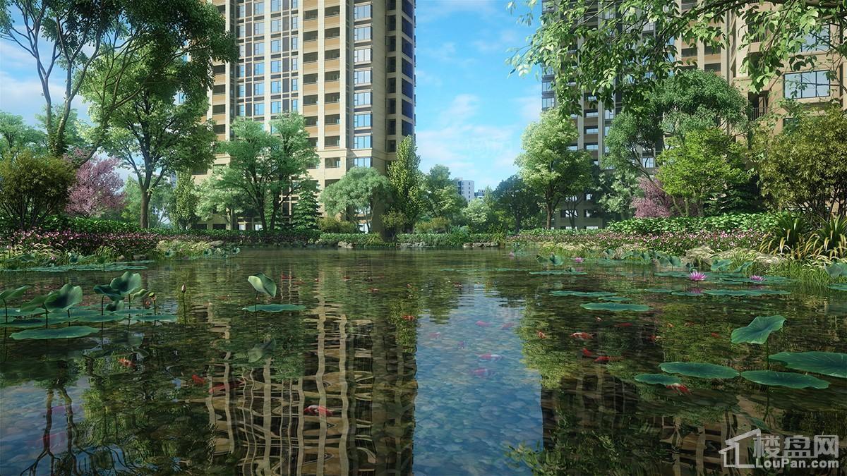 富力湾效果图