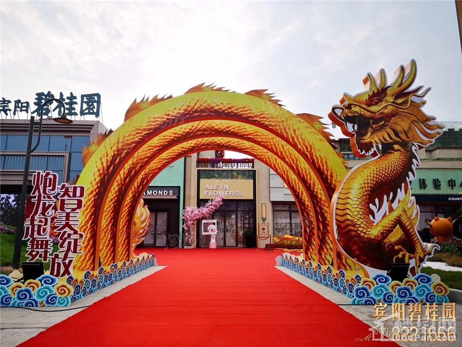 宾阳碧桂园实景图