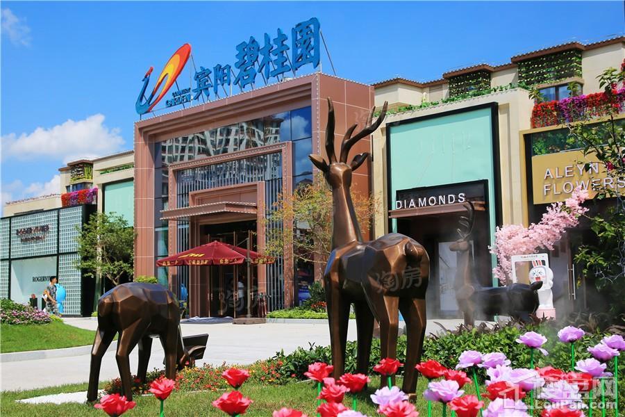 宾阳碧桂园实景图