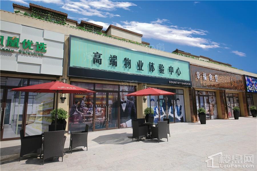 宾阳碧桂园实景图