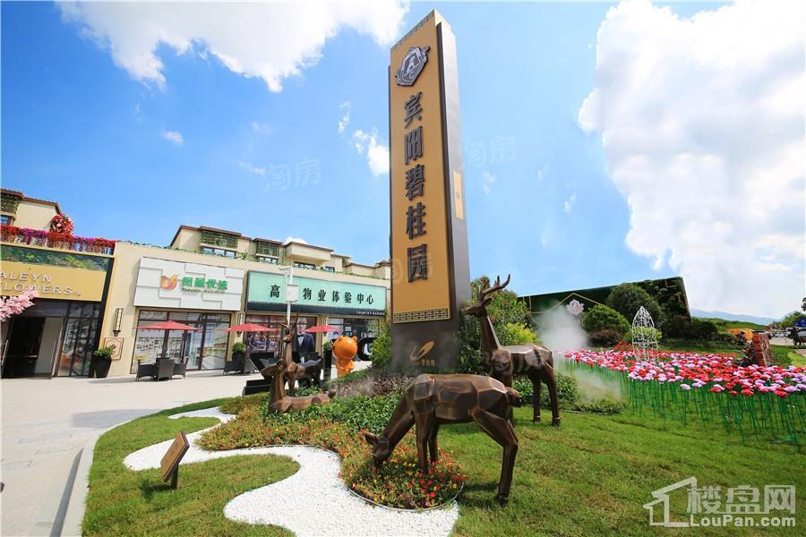 宾阳碧桂园实景图