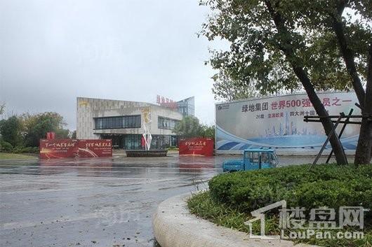 绿地滨湖城实景图