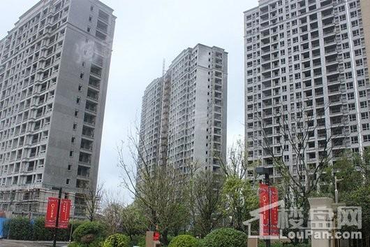 绿地滨湖城实景图