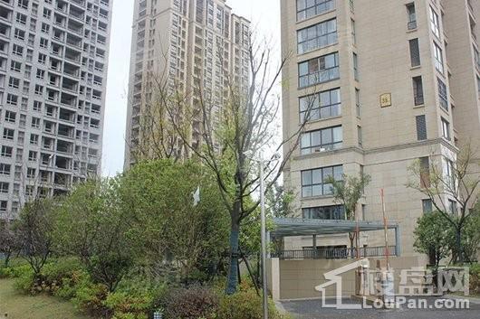 绿地滨湖城实景图