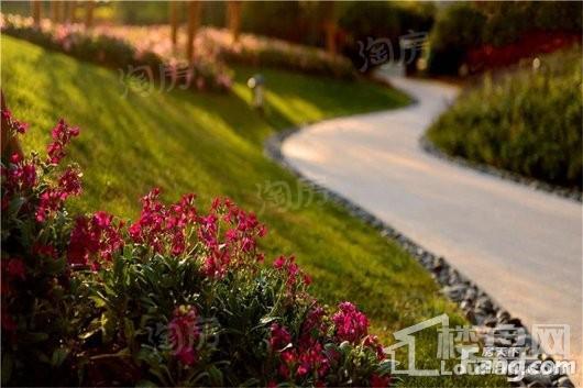 泰禾·红悦实景图