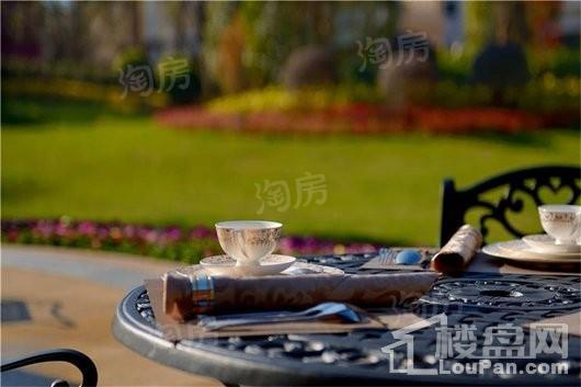 泰禾·红悦实景图