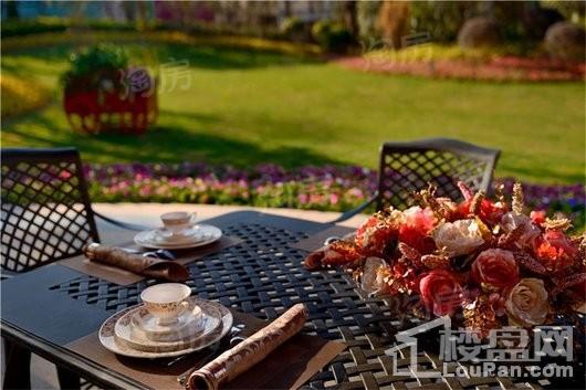 泰禾·红悦实景图