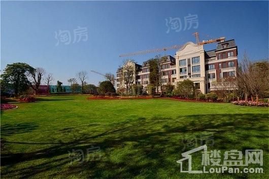 泰禾·红悦实景图