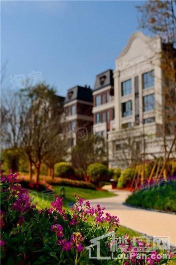 泰禾·红悦实景图