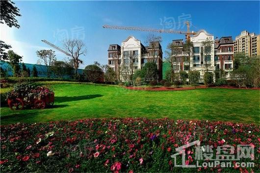 泰禾·红悦实景图