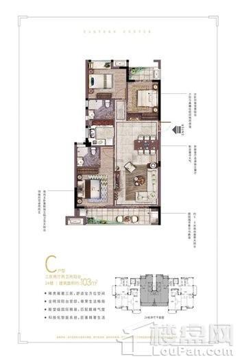中庚·东金2#C 103㎡户型 3室2厅2卫1厨