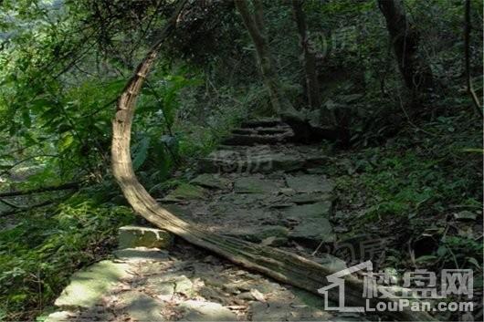 旗山领秀配套图