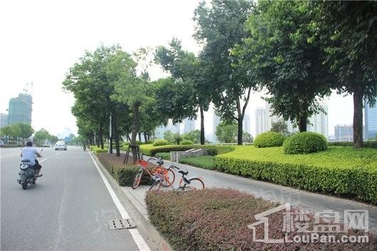 三盛滨江国际配套图