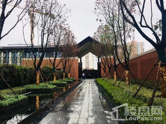 万科金域江湾实景图