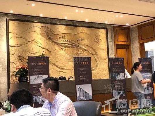 万科金域江湾实景图