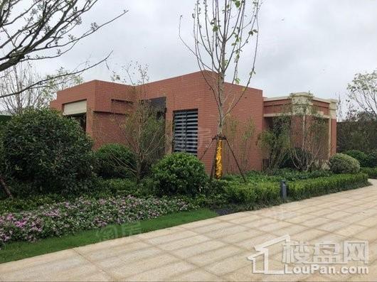 万科金域江湾实景图