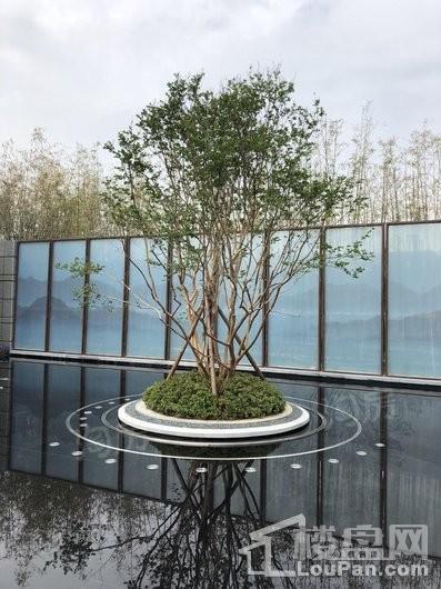 中南银城·樾府实景图