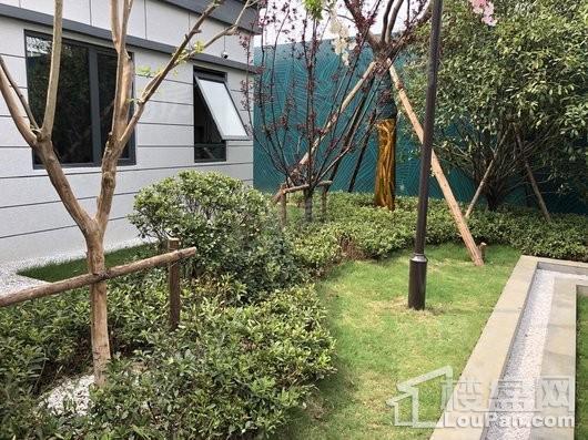 中南银城·樾府实景图