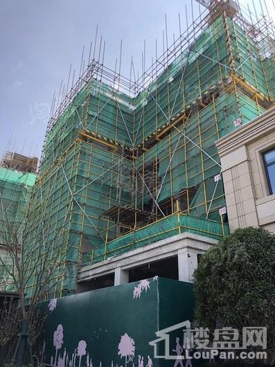 保集·梧桐墅实景图