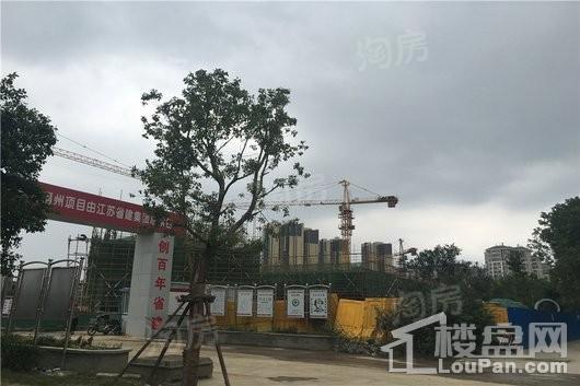 红星·大都汇实景图