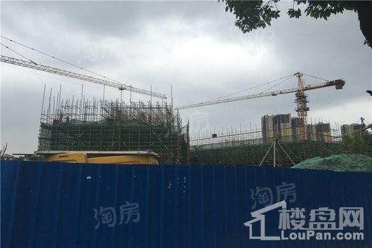 红星·大都汇实景图