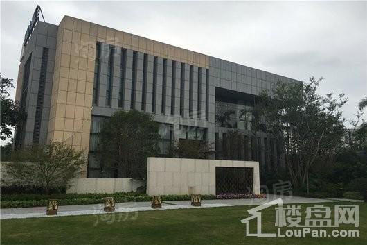 红星·大都汇实景图