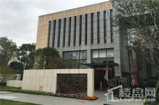 红星·大都汇实景图