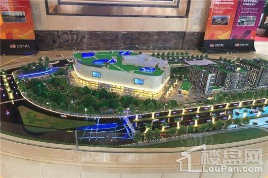 红星·大都汇实景图