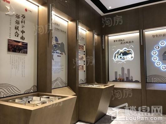 万科中南·翡翠江湾实景图