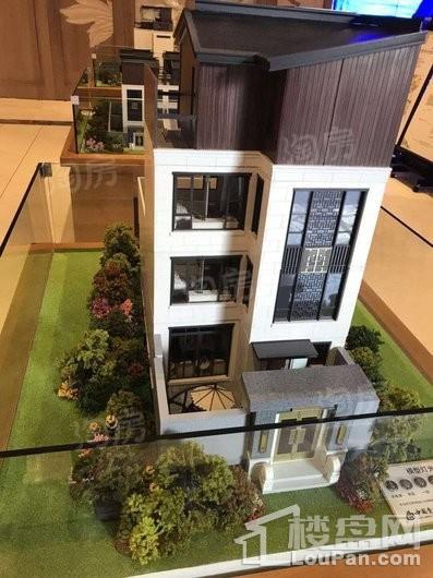 泰禾桂山院子实景图