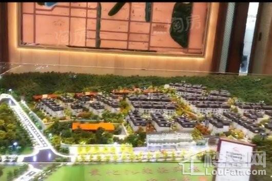 泰禾桂山院子实景图