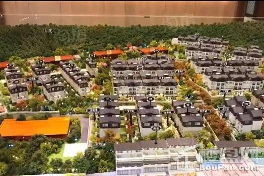 泰禾桂山院子实景图