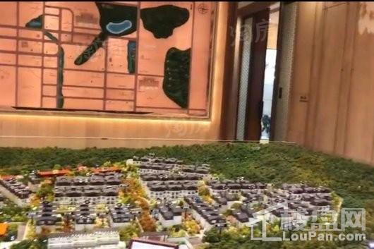 泰禾桂山院子实景图