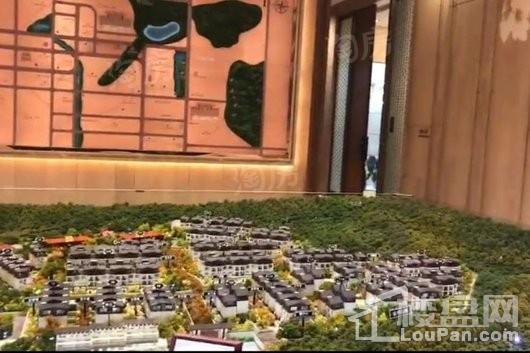 泰禾桂山院子实景图