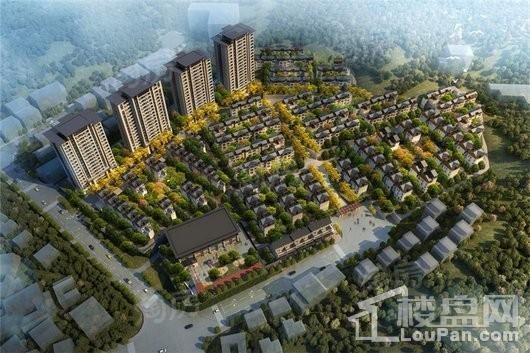 泰禾桂山院子效果图