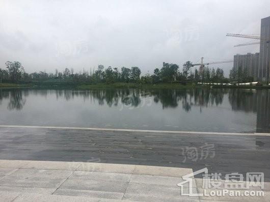 中国华商交子公馆配套图