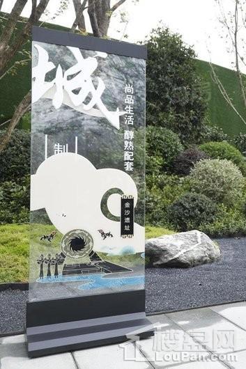 领地金科蘭台府实景图