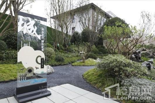 领地金科蘭台府实景图