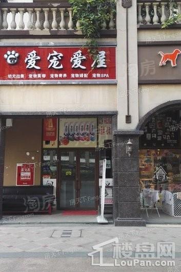 领地金科蘭台府配套图