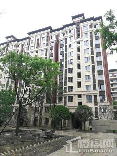 中海万锦熙岸实景图